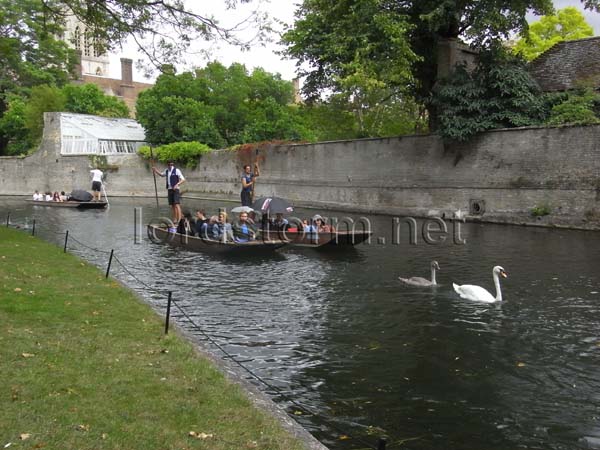 20110816en29