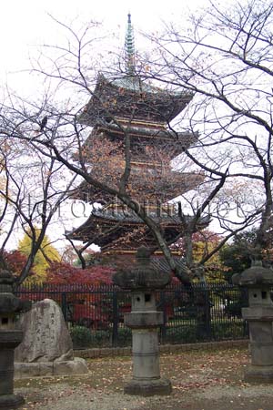 20061207jp14