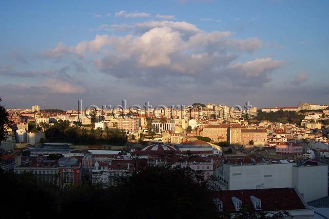 20051115pt10