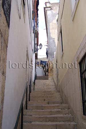 20051116pt19
